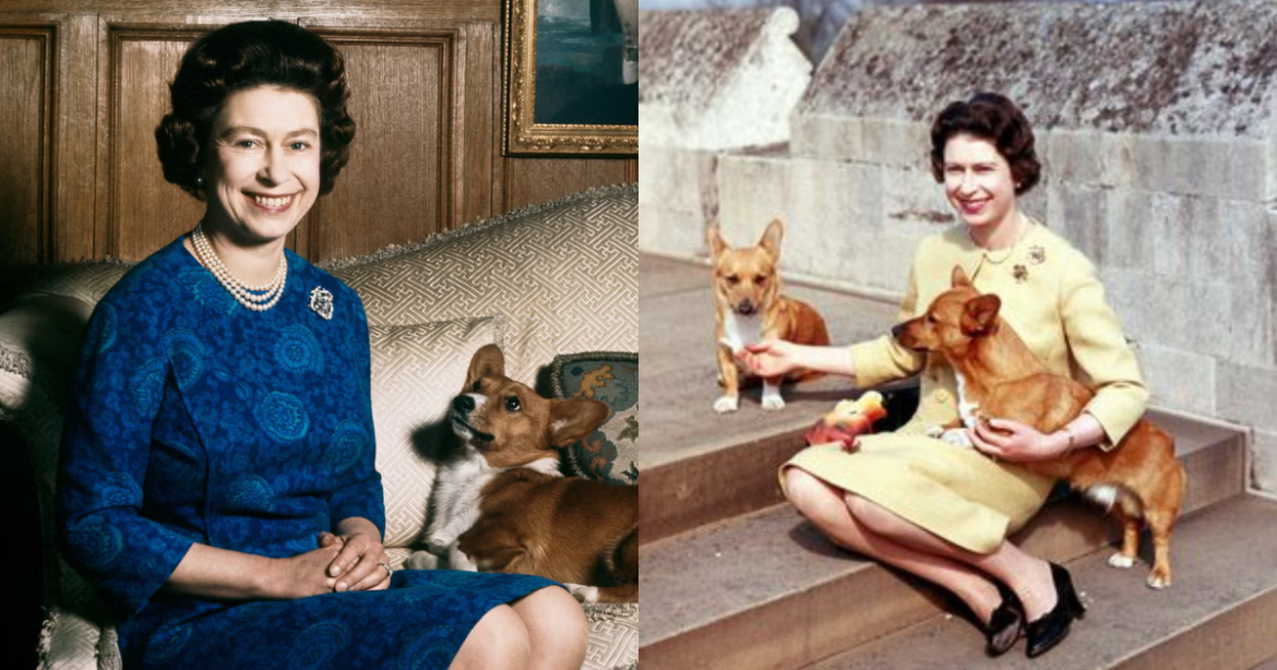 英国女王与王室柯基